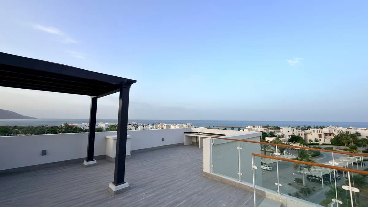 صورة 3